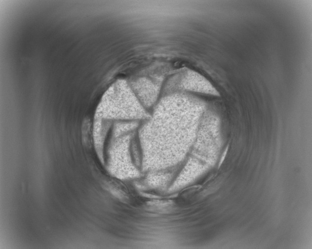 X0000065980480200603311909