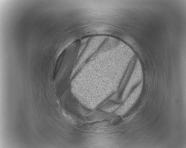 X0000065980481200603311909