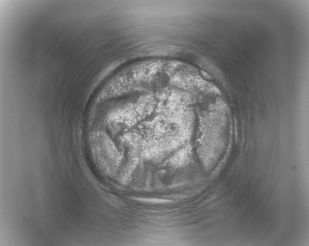 X0000065980483200603311909