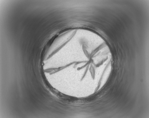 X0000065980485200603311908