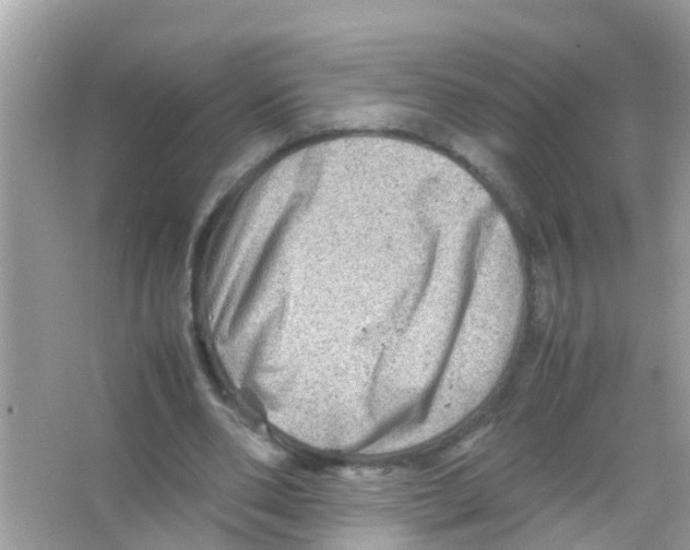 X0000065980486200603311908