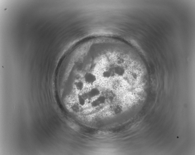 X0000065980487200603311908