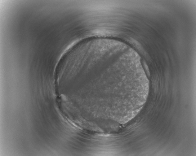 X0000065980488200603311908