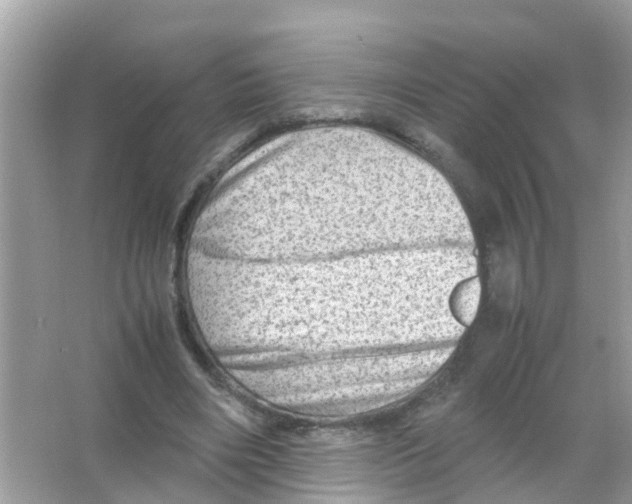 X0000065980490200603311908