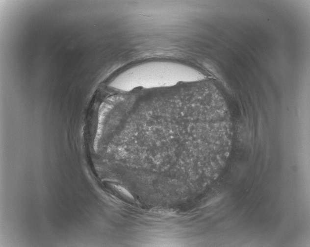 X0000065980491200603311908