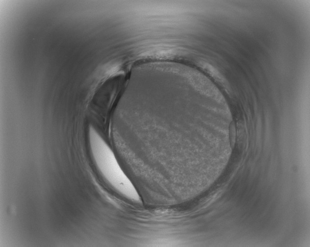 X0000065980493200603311908