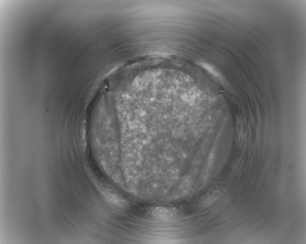 X0000065980494200603311908