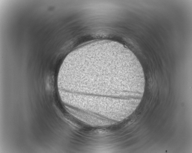 X0000065980498200603311908