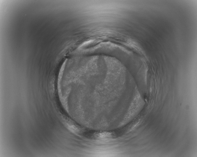 X0000065980501200603311908