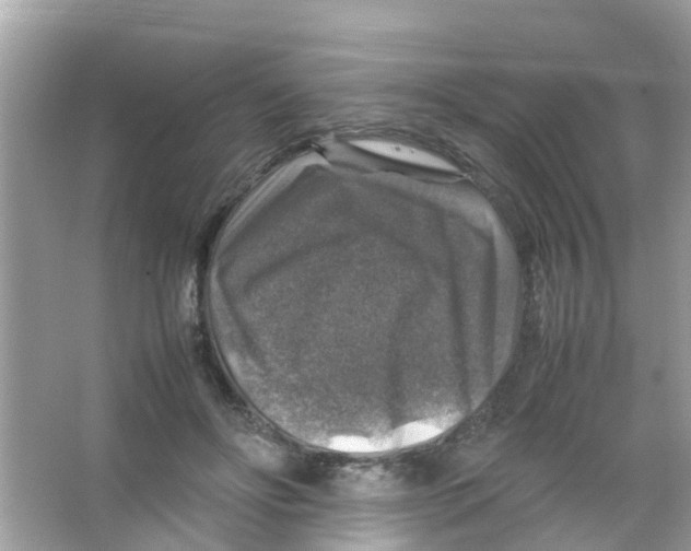 X0000065980502200603311908