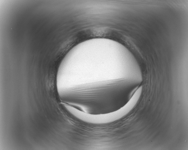 X0000065980505200603311908