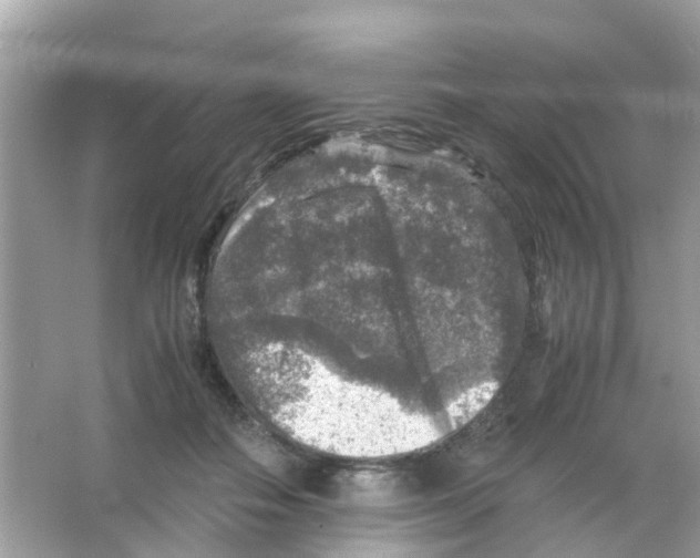 X0000065980506200603311908