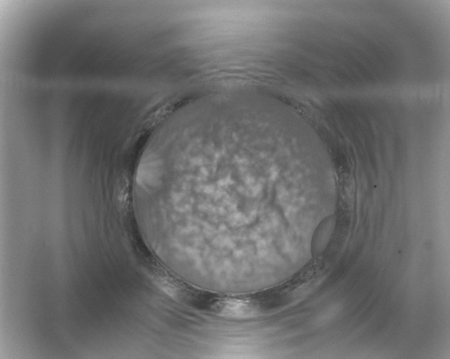 X0000065980507200603311908