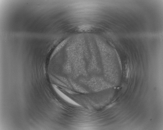 X0000065980508200603311908