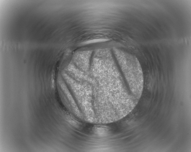 X0000065980510200603311908