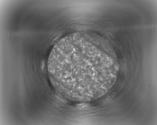 X0000065980511200603311908