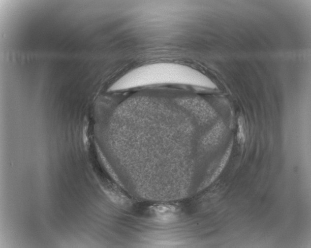 X0000065980512200603311908