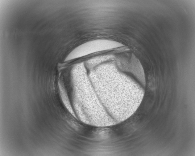 X0000065980514200603311908