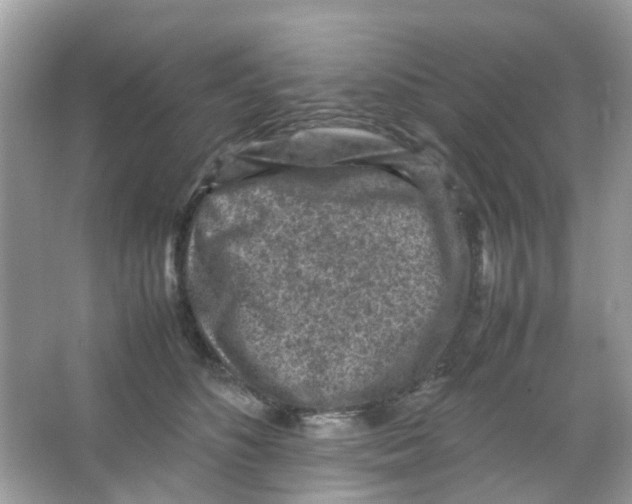 X0000065980516200603311908