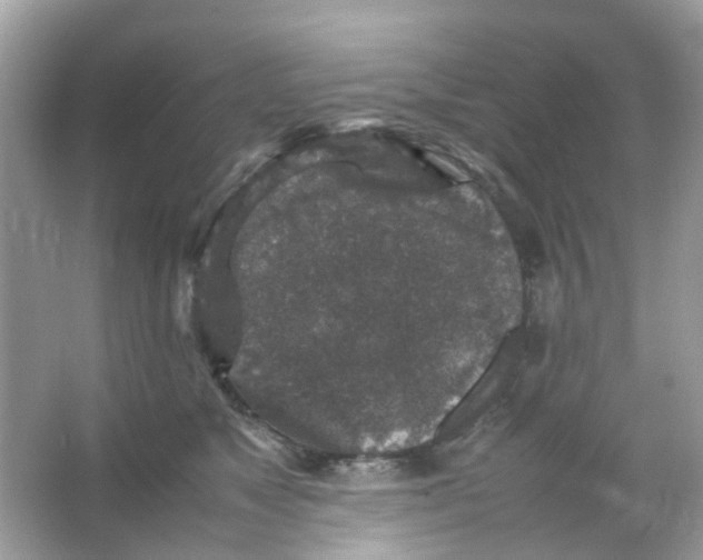 X0000065980517200603311908