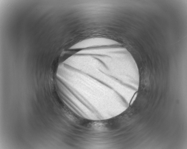 X0000065980518200603311908