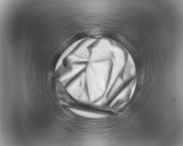 X0000065980521200603311908