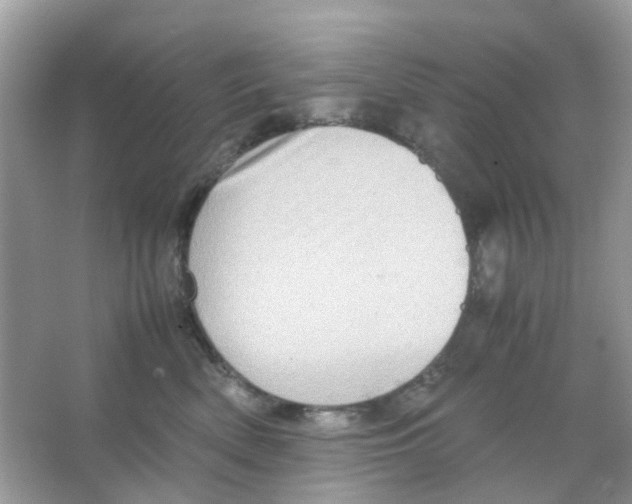 X0000065980522200603311908