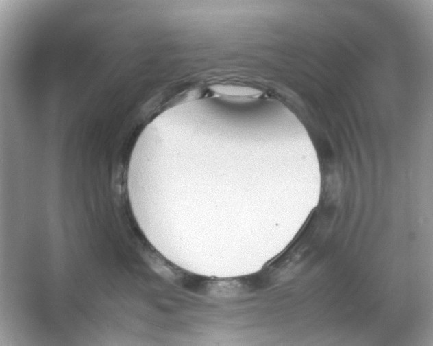 X0000065980525200603311908