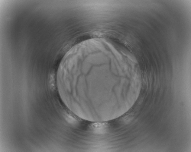 X0000065980526200603311908