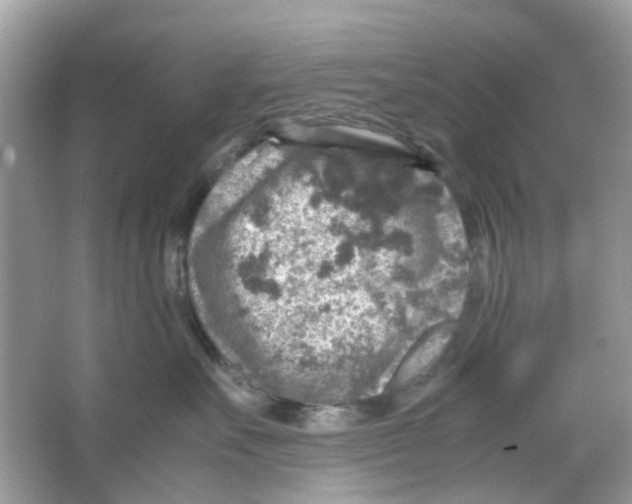 X0000065980527200603311908