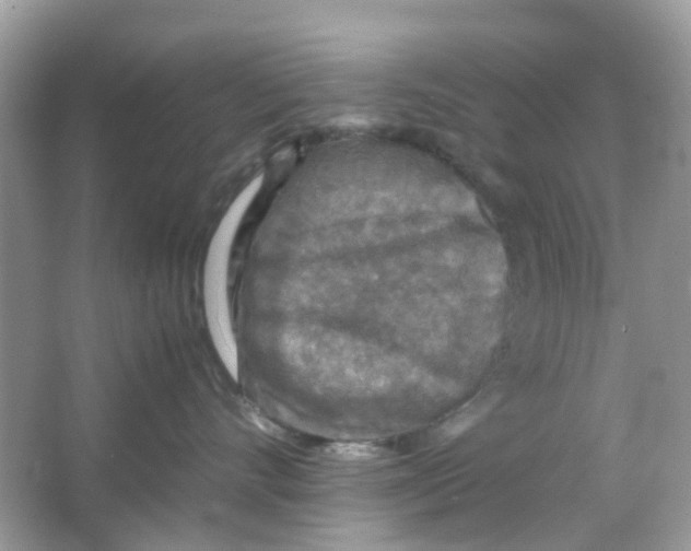 X0000065980528200603311908