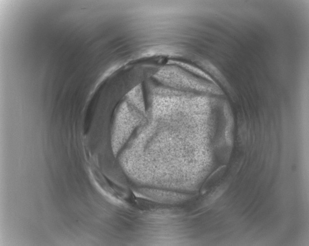 X0000065980530200603311907