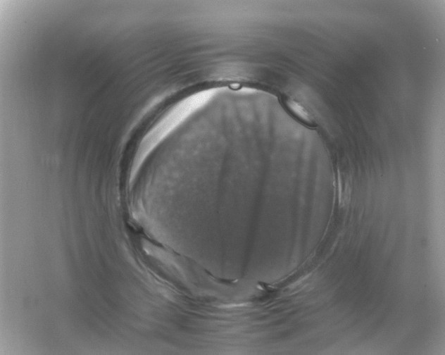 X0000065980531200603311907