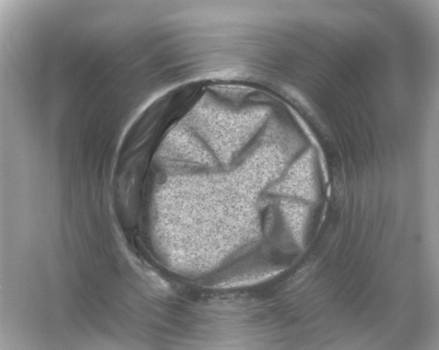 X0000065980532200603311907