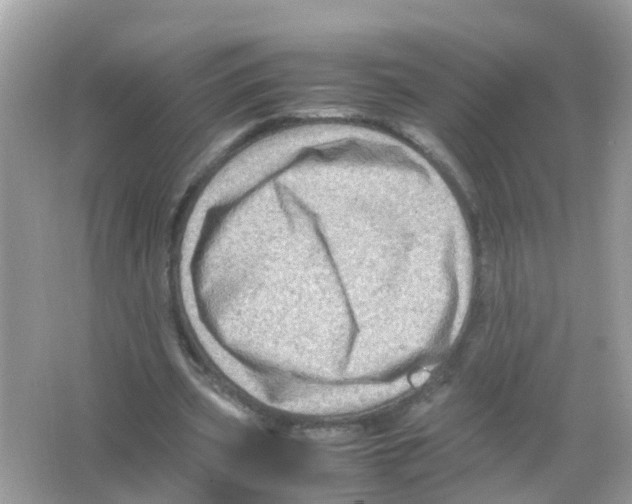 X0000065980533200603311907