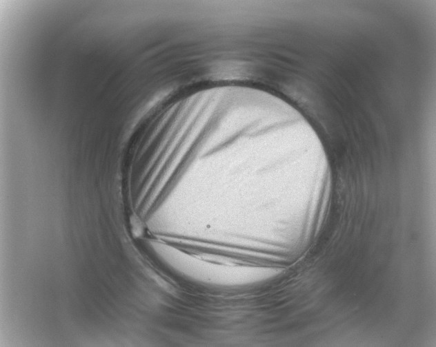 X0000065980535200603311907