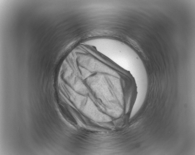 X0000065980538200603311907