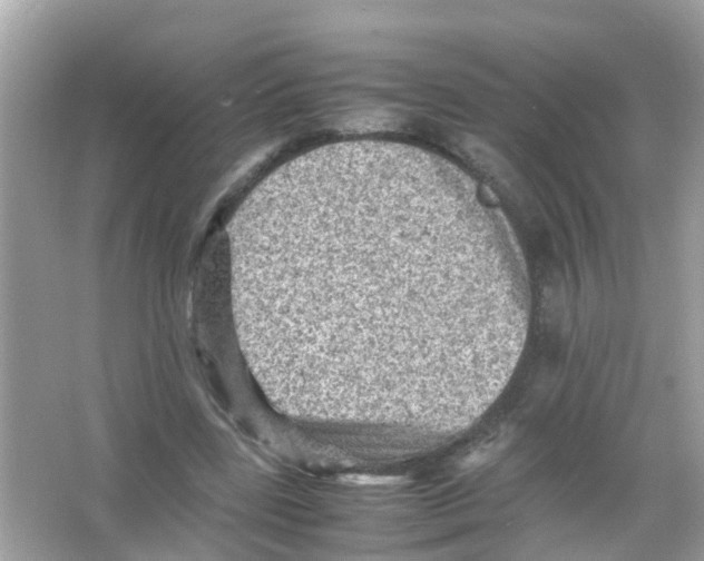 X0000065980539200603311907