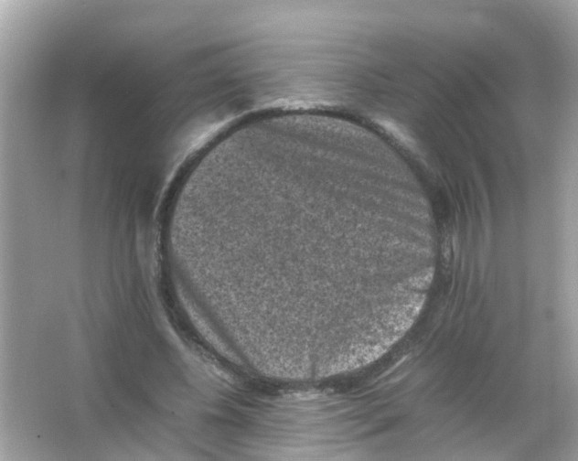 X0000065980540200603311907