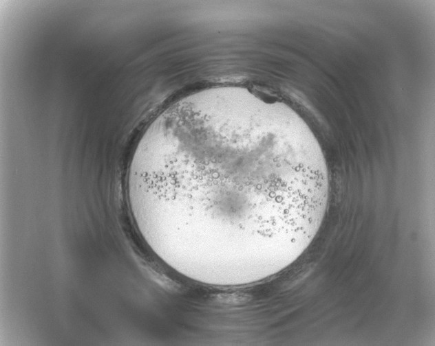 X0000065980541200603311907