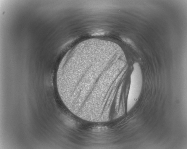 X0000065980543200603311907