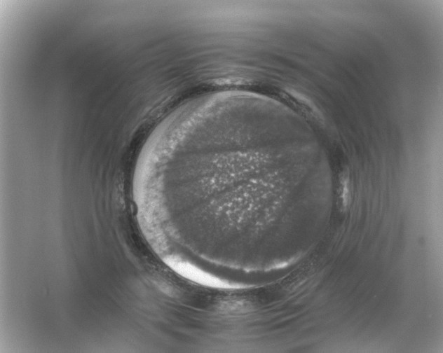 X0000065980547200603311907