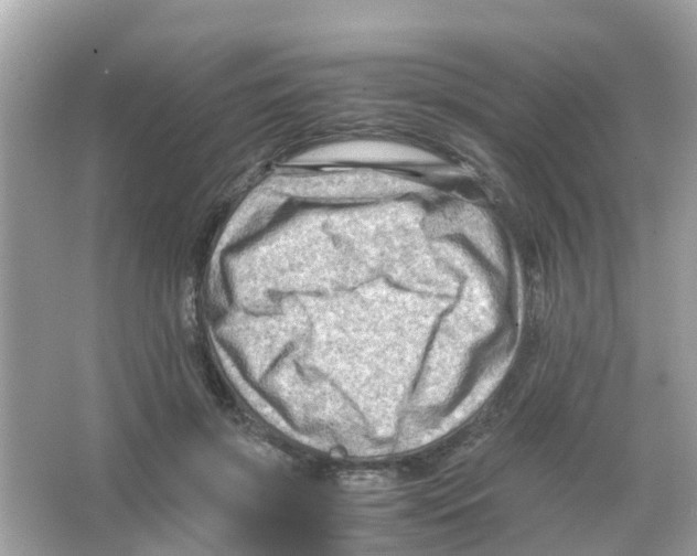 X0000065980549200603311907