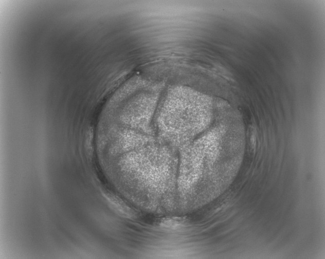 X0000065980550200603311907