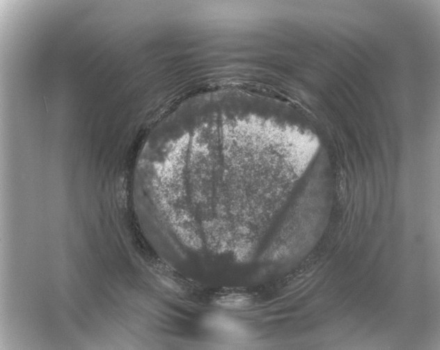 X0000065980551200603311907