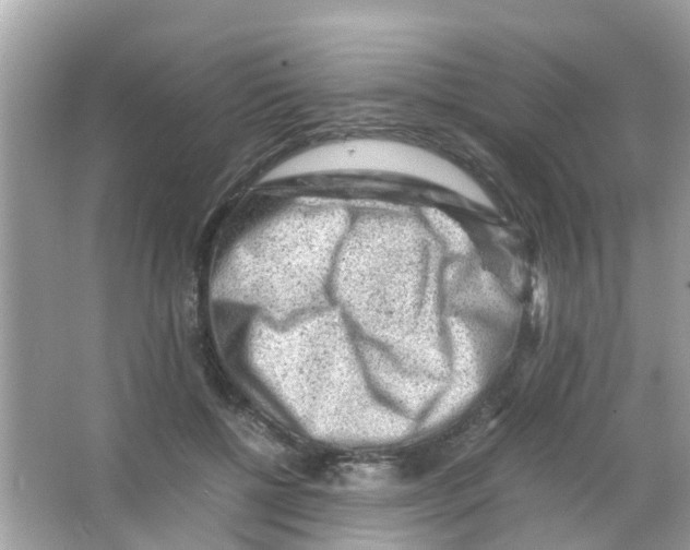 X0000065980552200603311907