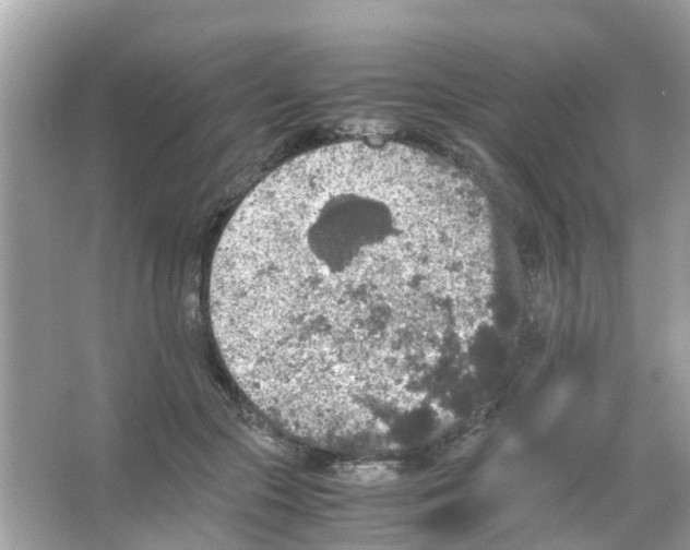 X0000065980553200603311907