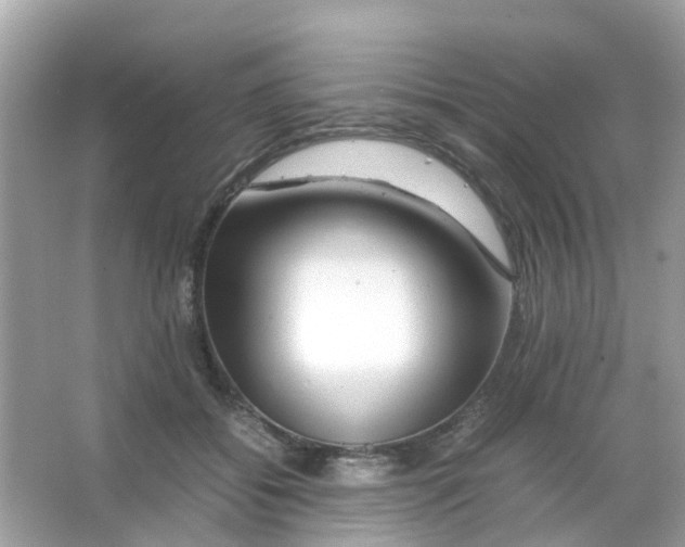 X0000065980556200603311907