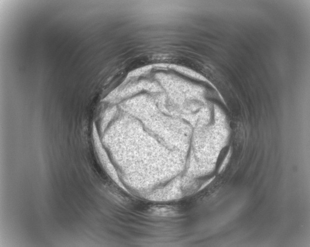 X0000065980557200603311907