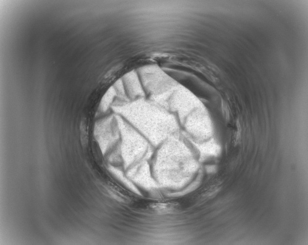 X0000065980558200603311907